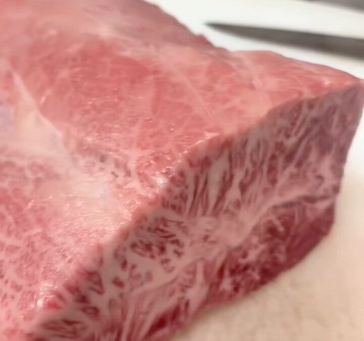 本日のおすすめ