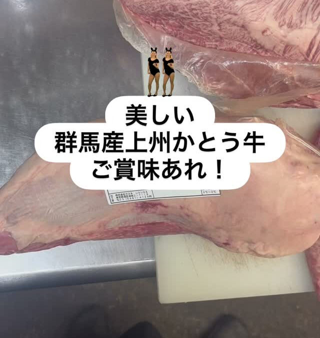 なんかキレイなのきた！